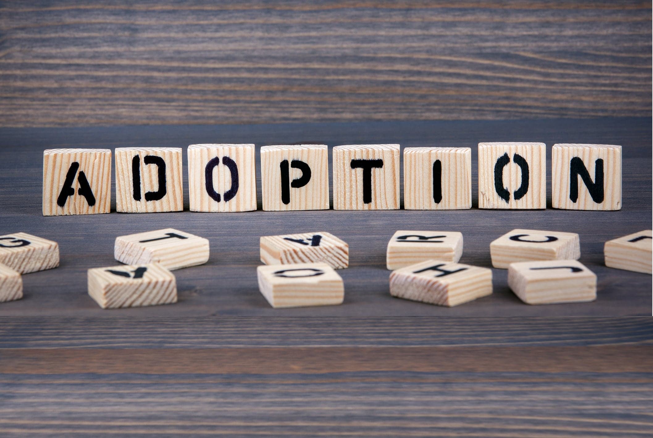 adoption services